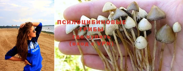 ECSTASY Беломорск